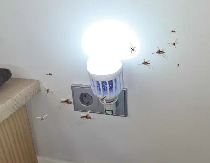 Enjoy automated protection